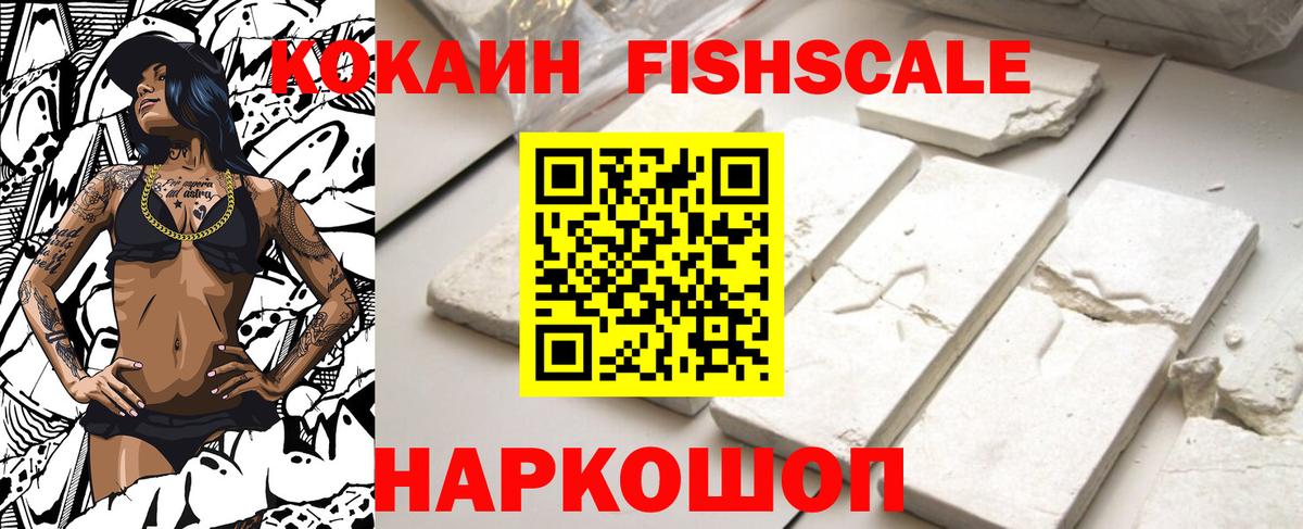 COCAIN FishScale  Вход с VPN  Бердск  цены   Cocaine FishScale 