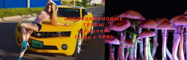 apvp Лагань