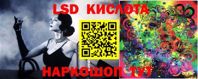 шишки Аргун