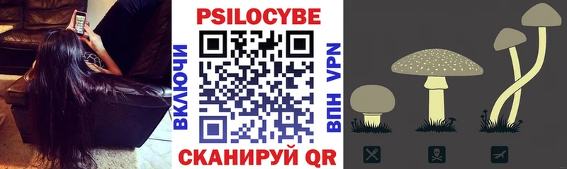 продажа наркотиков  Бердск  Галлюциногенные грибы Psilocybe 